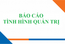 Báo cáo tình hình quản trị Công ty năm 2019